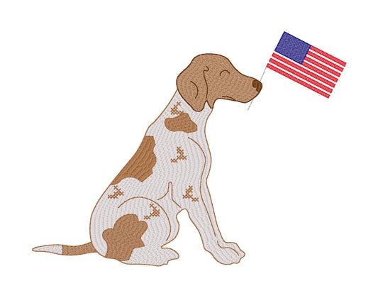 German Shorthair Pointer with Flag